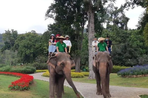 Elephant Riding Around The Flower Garden