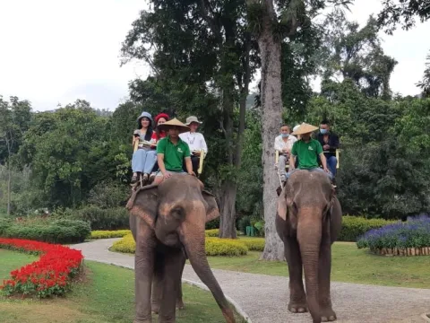 Elephant riding around Green Jungle Park