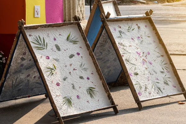 ทริปครึ่งวัน ทำกระดาษสาแบบธรรมชาติ