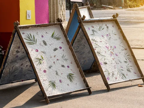 Full-Day Natural Saa Paper Making Experience