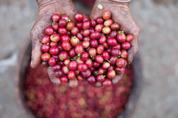 博拉温高原亮点游览