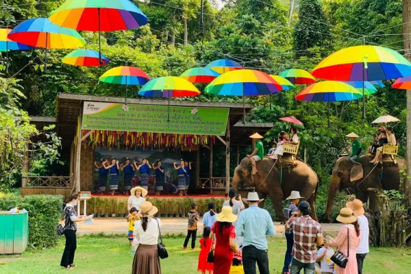 Elephant Riding in the Camp