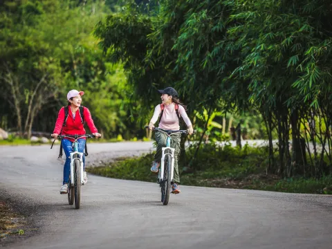 骑自行车，徒步，空中吊桥，瀑布
