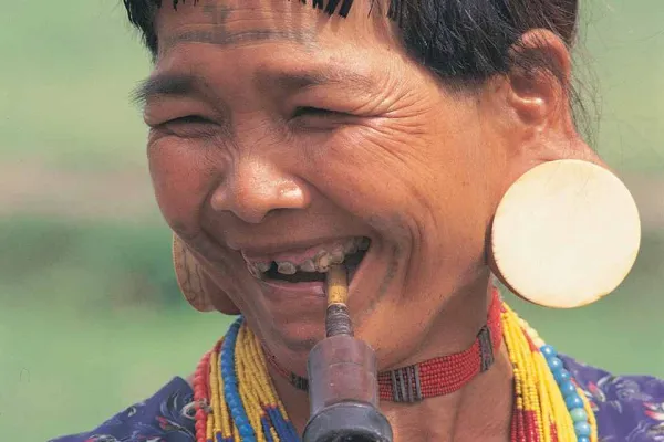 婆罗洲之旅亮点与家庭住宿体验