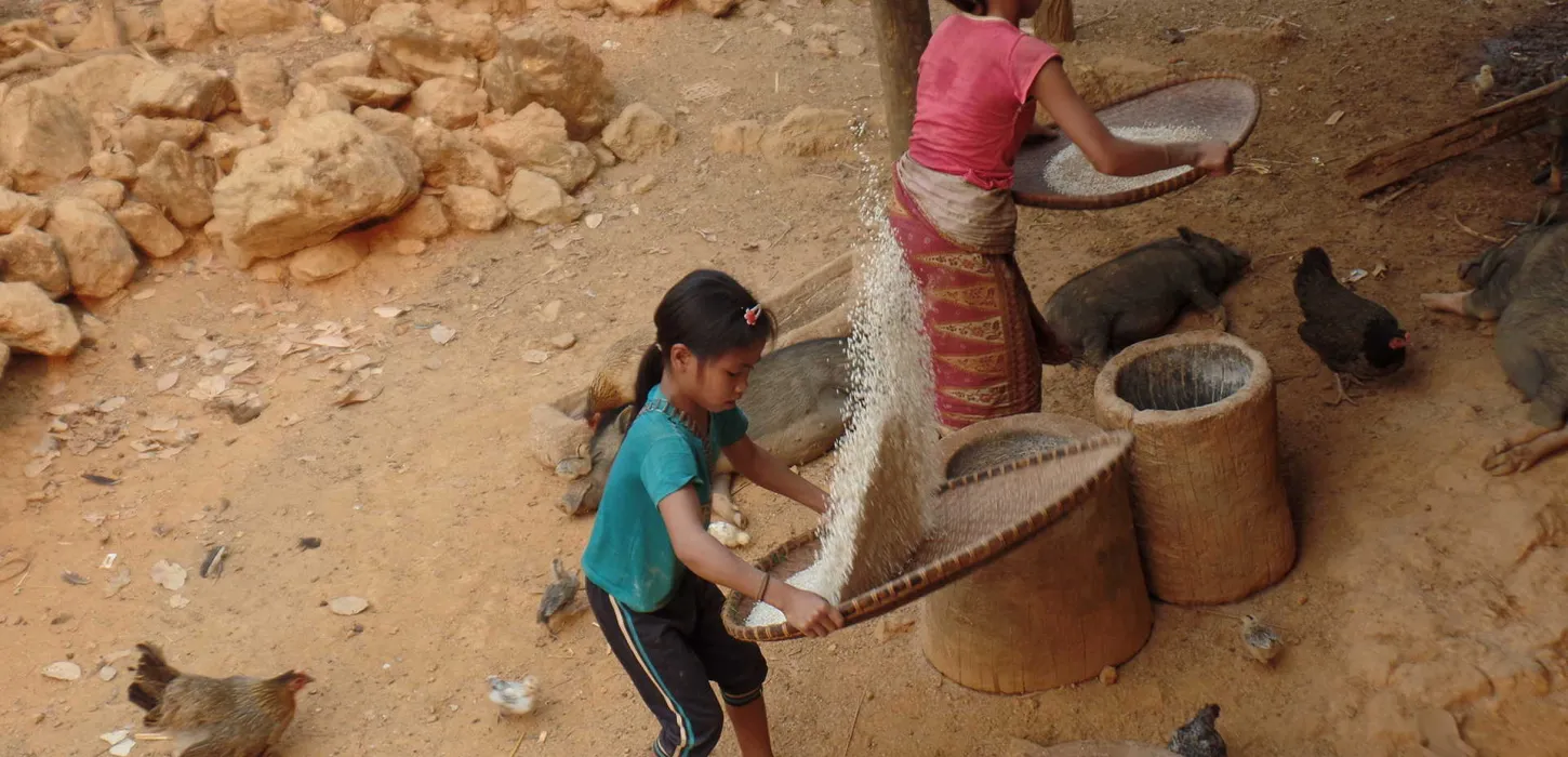 ชีวิตของชาวใต้