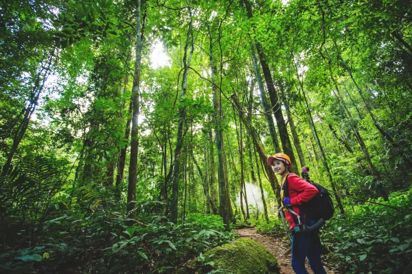 เดินป่า, สะพานลอยฟ้า, ชมน้ำตก