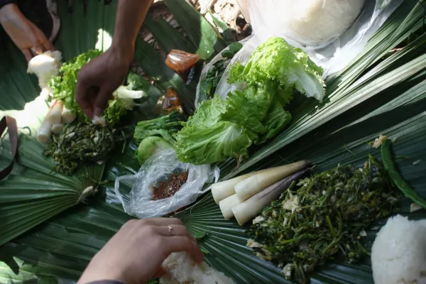 Nam Ha National Protected Area Safari