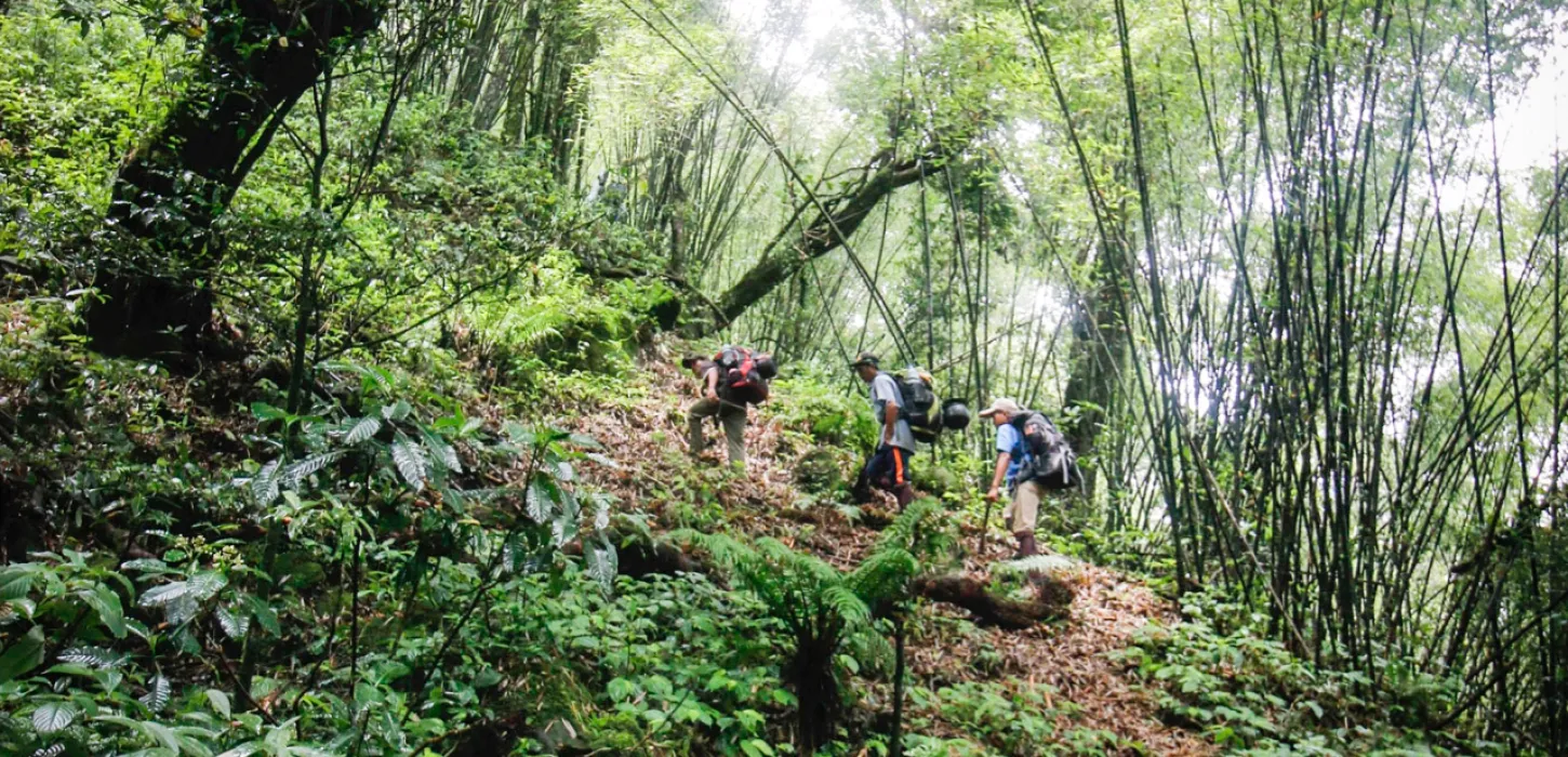 Hiking