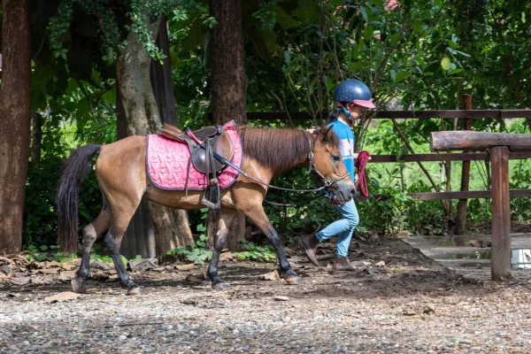 1-Hour Pony Ride Through Village and Forest