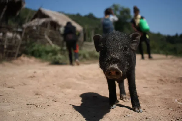 Exploring Remote Ethnic Lands