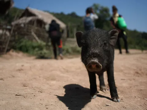 探索偏远的民族地区