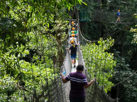 半日私人回归自然之旅 - 南东公园