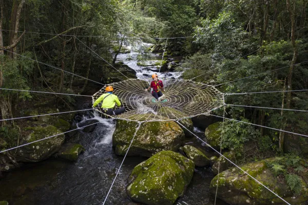 นั่งบนตาข่ายแมงมุม