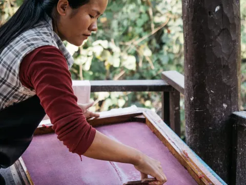 半日制粪纸体验