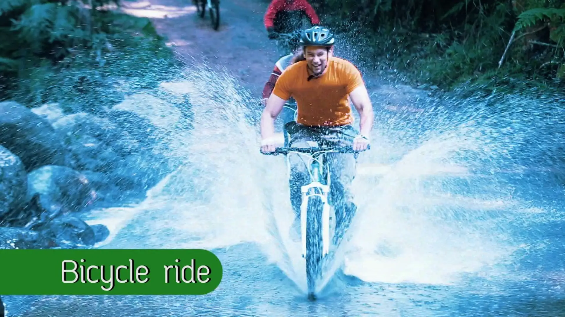 惊人的树顶16项任务