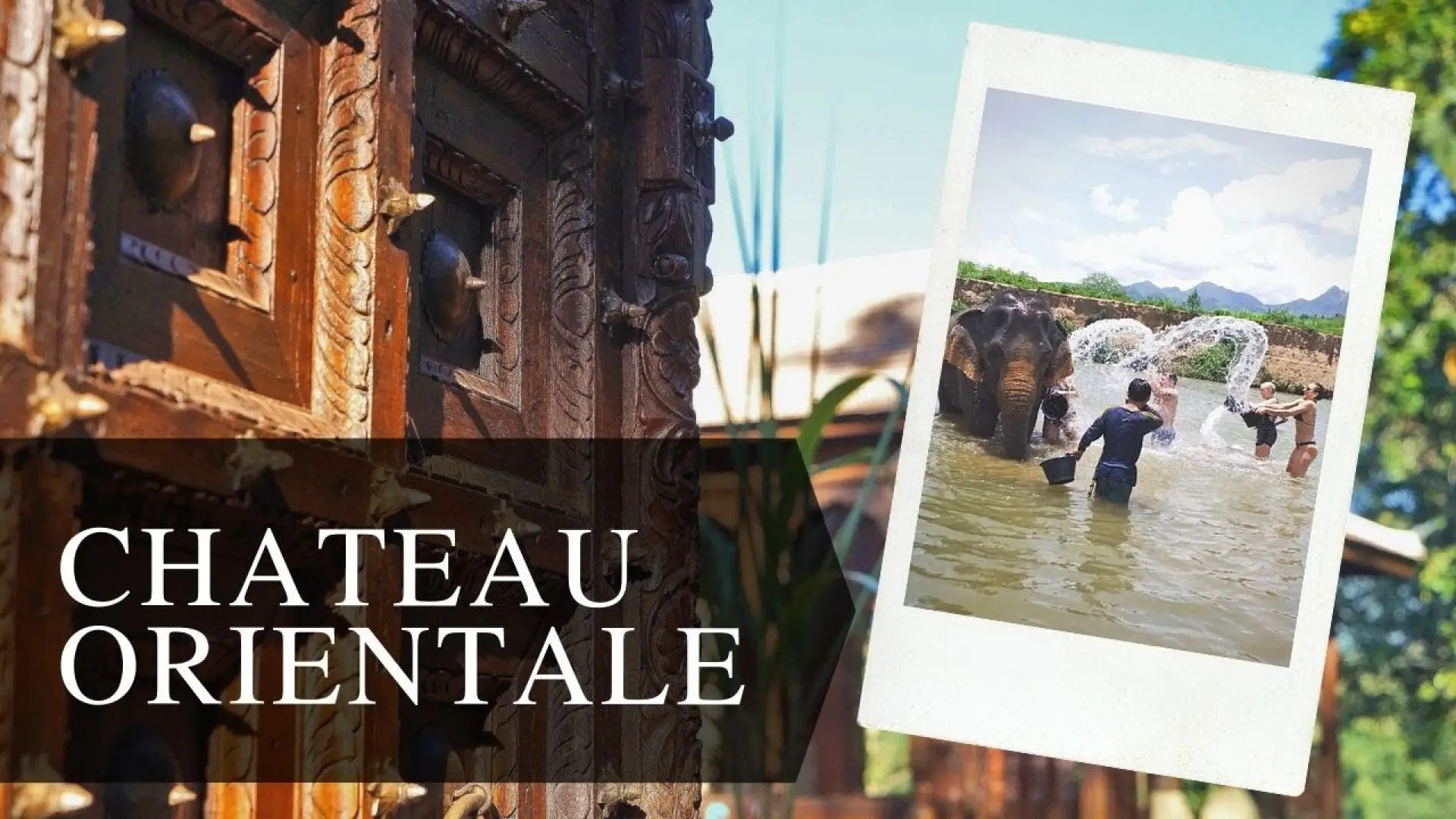 A Unique Half-Day Adventure with Nature and Elephants