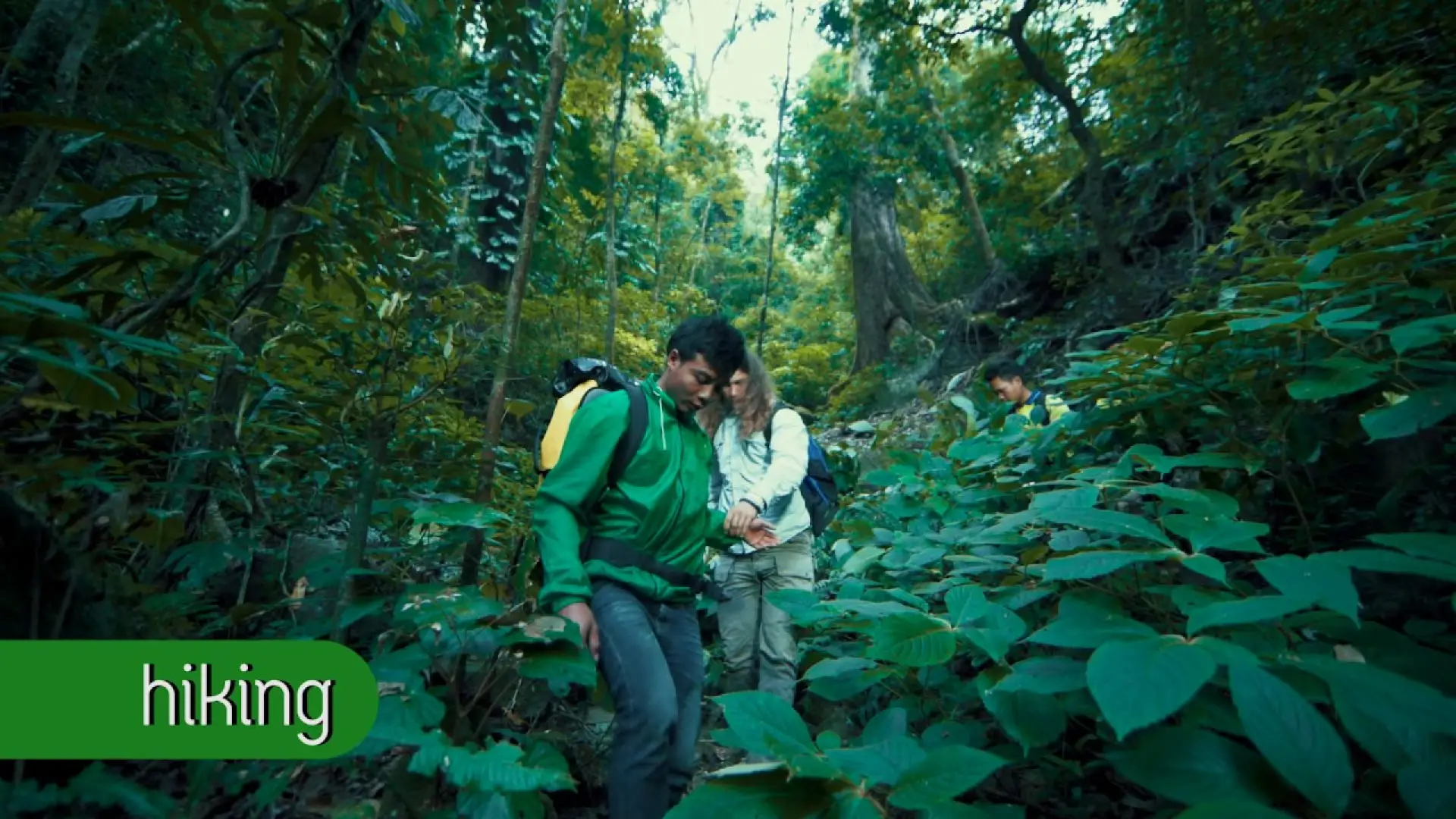 Resort Car, Trekking, Giant Trees at Nam Kat Yorla Pa